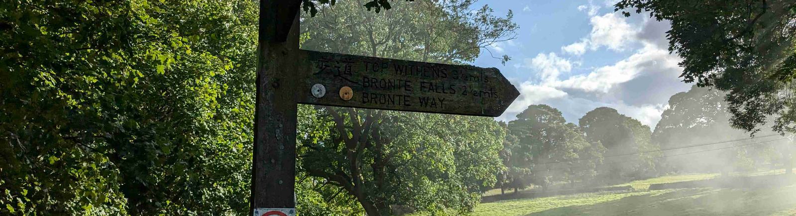 A signpost in front of a field, surrounded by trees.