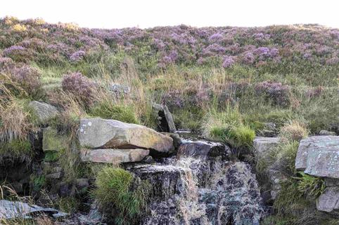 A small waterfall surrounded by rocks, grass and heather.