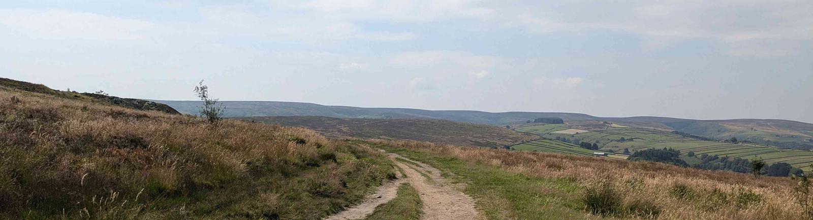 A path on the moors.