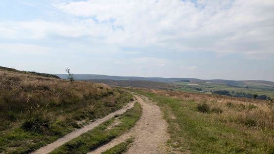 A path on the moors.