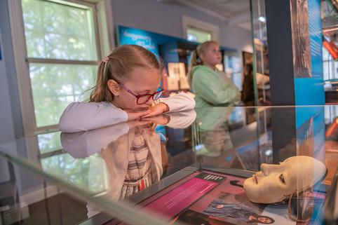 Photo of a young girl looking at a museum display.