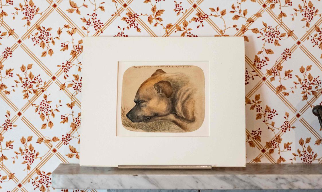 Photo of a watercolour painting by Emily Brontë of her dog Keeper.
