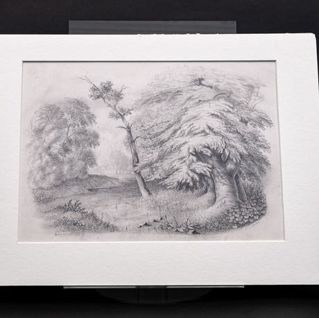 Photo of a pencil drawing of a landscape with trees.