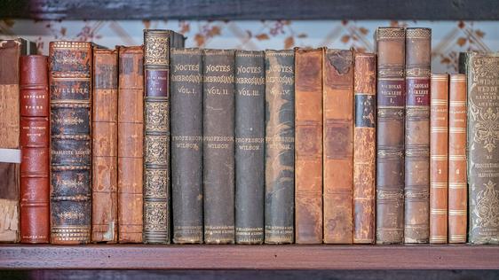 Photo of a bookshelf containing used nineteenth century books.