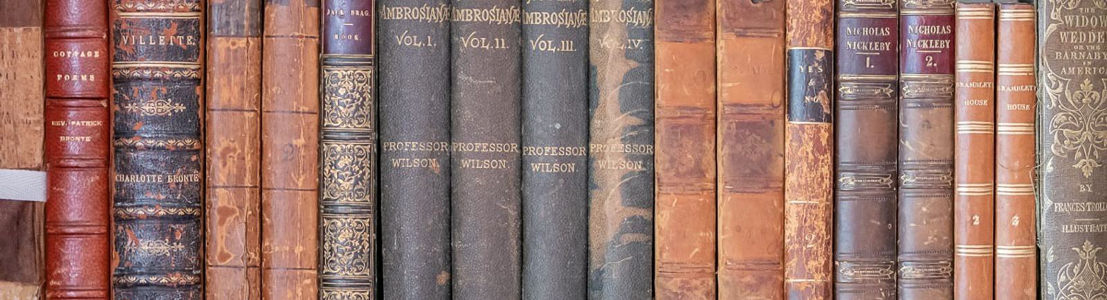 A shelf of used nineteenth century books.
