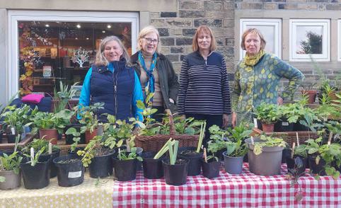 Photo of four woman behind a table covered in potted plants.