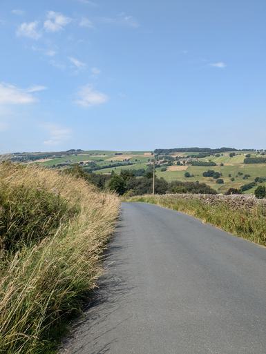 Photo of a country road on a sunny day.