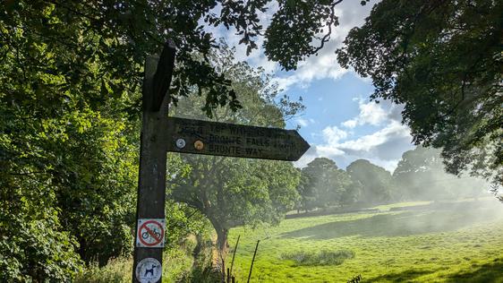 Photo of a wooden signpost with a green field in the background.